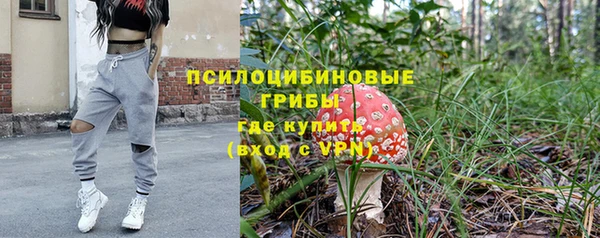 a pvp Армянск
