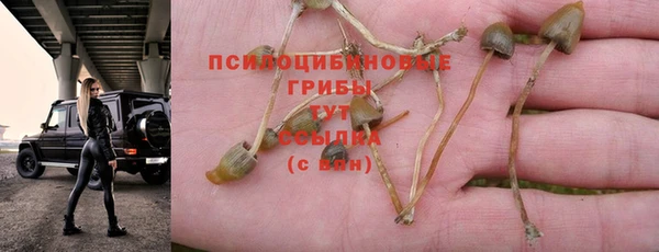 a pvp Армянск